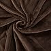 Bedsure GentleSoft Fleece Blanket Twin Size Brown - 300GSM Lightweight Plush Fuzzy Cozy Soft Warm Blanket for Bed, Sofa, Couch, Travel, Camping, 60x80 inches