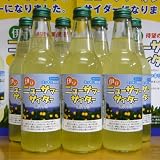 伊豆ニューサマーサイダー　12本入り 旦那