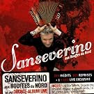Sanseverino Aux Bouffes Du Nord