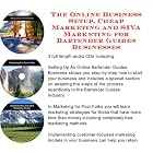 The Online Business Setup, Cheap Marketing, SIVA Marketing for Bartender Guides Businesses by J Bowman J Orr