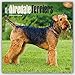 Airedale Terriers 2016 Square 12x12 (Multilingual Edition)