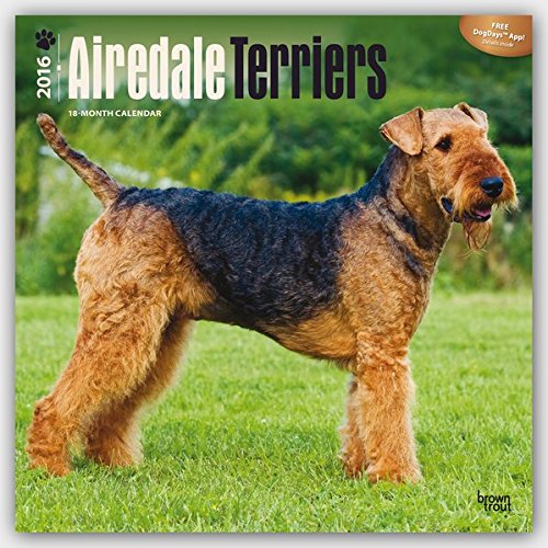 Airedale Terriers 2016 Square 12x12 (Multilingual Edition)