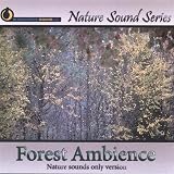 Forest Ambience (Nature Sounds Only Version)