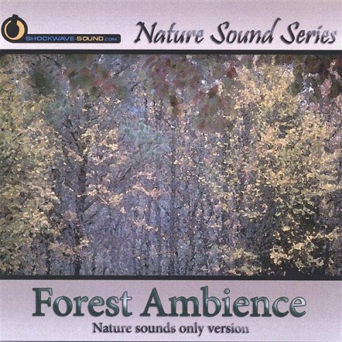 Forest Ambience (Nature Sounds Only Version)