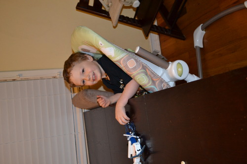 fisher price luv u zoo high chair