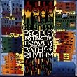 Peoples Instictive Travels
