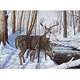 Royal Brush Paint by Number Kit, 15.375-Inch by 11.25-Inch, Winter Bliss