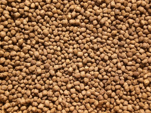 100 LBS Discount Floating Koi Fish Food