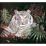 Trademark™ Acrylic Mink Blankets, WHITE TIGER