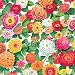 Entertaining with Caspari Gift Wrapping Paper, 2 Full Sheets, Zinnia