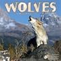 WOLVES 2010 Wall Calendar #30116-10