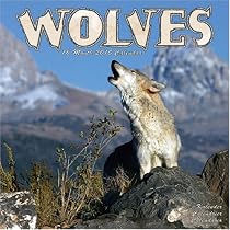 WOLVES 2010 Wall Calendar #30116-10