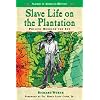 Slave Life on the Plantation: Prisons Beneath the Sun (Slavery in American History)