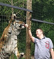 Feed the Big Cats - How Scary?