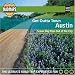 Get Outta Town: Austin Laminated Map (Get Outta Town...)