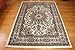 Oriental Traditional Isfahan Persian Area Rugs Ivory Cream 2 x 3