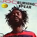 Ultimate Collection: Burning Spear