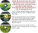 The Rich Man's Super Marketing, Success Principles and Inner Game for Free Website Businesses 3 CD Combo Pack