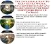 The Incredible How To Earn Extra Money, Success Principles and Sales Models for Soap Dispensers Biz 3 CD Package