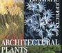 Dramatic Effects with Architectural Plants
