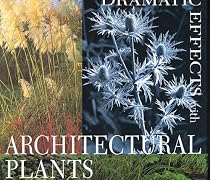 Dramatic Effects Of Architectural Plants