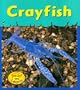 Crayfish (Musty-Crusty Animals)