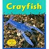 Crayfish (Musty-Crusty Animals)