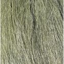 Field Grass, Medium Green