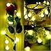 LUMAND 20 LED Globe String Lights Warm White Color [Remote & Timer] Battery Operated on 6.56ft/2m Ball Fairy Lights for Garden Party Tree
