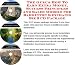 Book The Guru's How To Earn Extra Money, Success Principles and Sales Models for Badminton Keychains Biz 3 CD Package