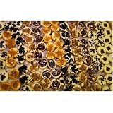 Julia's Pantry Cheesecake Sinsations 3 Dozen Bulk Pkg.