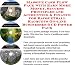Book Massive Cash Flow Pack with Earn More Money, Success Principles and Accounting & Finance for Racquetball Racquets On-line Businesses 3 CD Power Pack