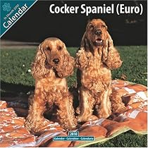 Cocker Spaniel (Euro) 2010 Wall Calendar #10029-10