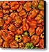 Hot Peppers Canvas Print / Canvas Art - Artist William Wetmore