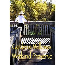 Gardena Willows Wetland Preserve