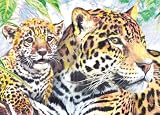 Mini Colour Pencil By Number Kit: 5x7 Jaguar Family