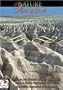 Nature Wonders  BADLANDS