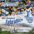 Msv Duisburg Zebrahits