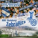 Msv Duisburg Zebrahits