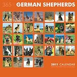 616 m8tJkWL. SL160  German Shepherd Calendar 2011