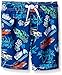 The Children's Place Little Boys' Swim Trunk