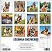 German Shepherds 2017 Wall Calendar