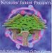 Nourhan Sharif:Arabic Rhythms Volume Eitneen: The Drums of Lebanon