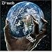 D12 World