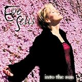 Into The Sun