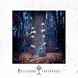 Treehouse