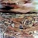 Earth Rot