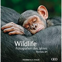 Wildlife Fotografien des Jahres