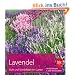 Lavendel: Duft und Sinnlichkeit im Garten