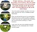Search : The Rich Man's How To Earn Extra Money, Marketing and Success Principles for Z Purlins On-line Businesses 3 CD Pack